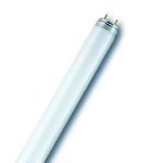 TUBE NEANT OSRAM 36W/1.20
