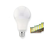 LAMPE BLCWA65 15W BMS