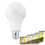 LAMPE BLCWA65 13W BMS – Image 2