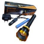 TORCHE CHARG + BATTERY BEETRO LA215