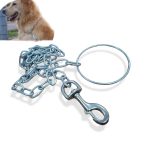 CHAINE DE CHIEN N5