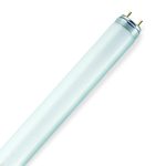 TUBE LED 1.20 PHOMSI