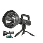 TORCHE W590