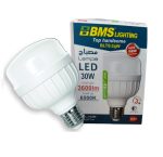 LAMPE LED 30W BMS BLTS30W