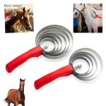 BROSSE CHEVAL