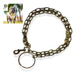 CHAINE CHIEN DOREE GM