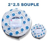 CABLE SOUPLE 2*2.5 ASAFFA TS