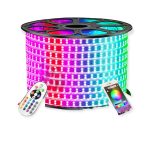 JEUX DE LUM RGB DOUBLE TORCH