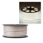 JEUX DE LUM SMD 220V BLANC 100M