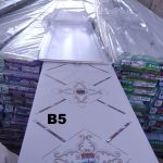 FAUX PLAFON  B5 MAHOR