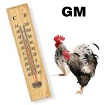 THERMO METRE BOIS GM