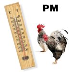 THERMO METRE BOIS MM