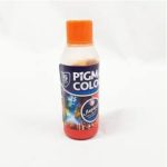 PIGMA CREVETTE