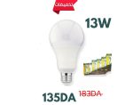 LAMPE BLCWA65 13W BMS