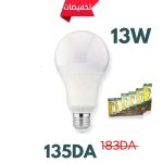 LAMPE BLCWA65 13W BMS