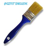 PINCEAUX PLAT B/BLEU 30G