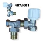 ROB RADIATEUR ITALY PEX  487 K01