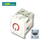 INTERPTEUR VOITURE ON/OFF BASCULE BMS D056