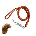 COLLIER CHIEN CUIR  + SEBTA MADHFORA