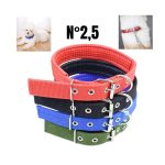 COLLIER CHIEN COULEUR N°2.5
