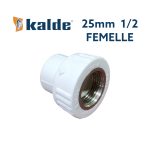 PPR MAMLON 25 1/2 FEMELLE