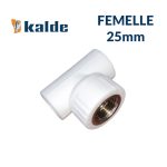 PPR TEE 25*1/2 FEMELLE