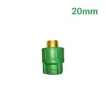 PPR MAMLON 25 1/2 MALE VERT