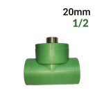 PPR TE 20 1/2 MALE VERT