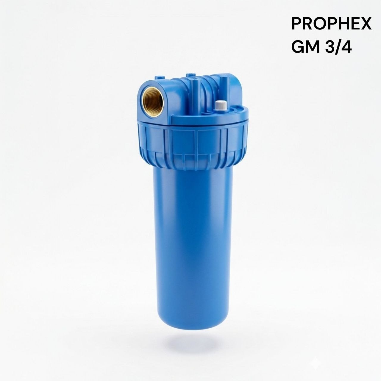 Photo00032318 FILTRE A EAU BLEU TAMIS GM 3/4 731216 PROPHEX – Image 1