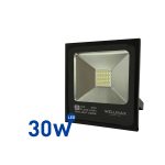 PROJECTEUR  30W WELLMAX