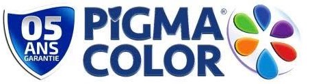 PIGMA COLOR
